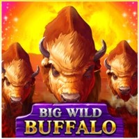 game logo by Belatra Games on zula.eu.com